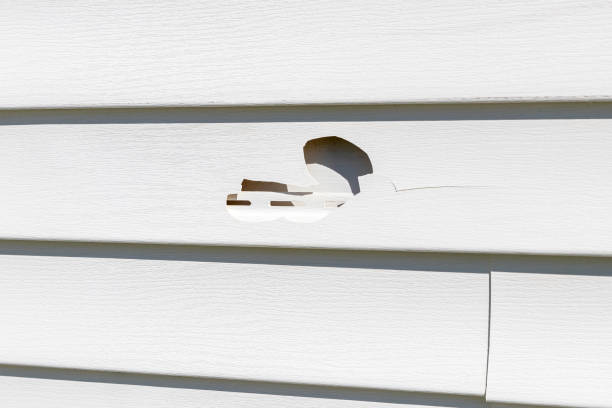 Best Wood Siding Installation  in Baxter, MN